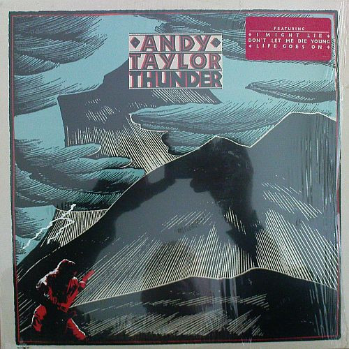 ANDY TAYLOR - Thunder 1987 LP