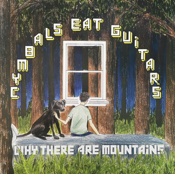 Cymbals Eat Guitars – Why There Are Mountains LP