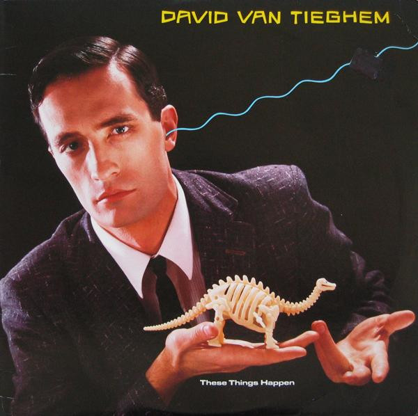 David Van Tieghem – These Things Happen LP